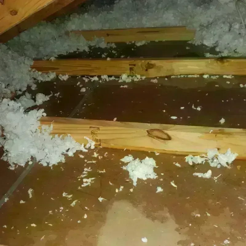 Attic Water Damage in Plainview, NE